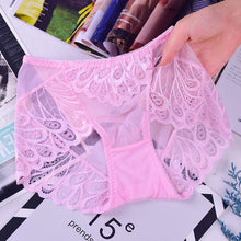 Load image into Gallery viewer, Peacock Lace Panties Women Transparent